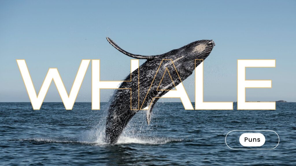 whale puns one liner