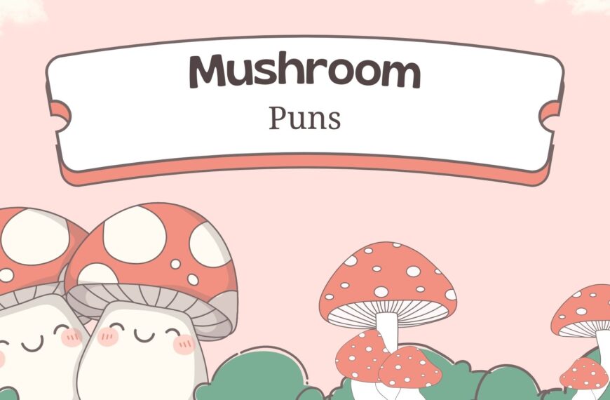Best Mushroom Puns -The Ultimate List