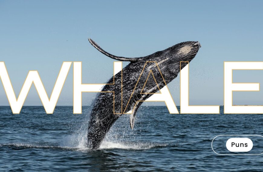 whale puns one liner