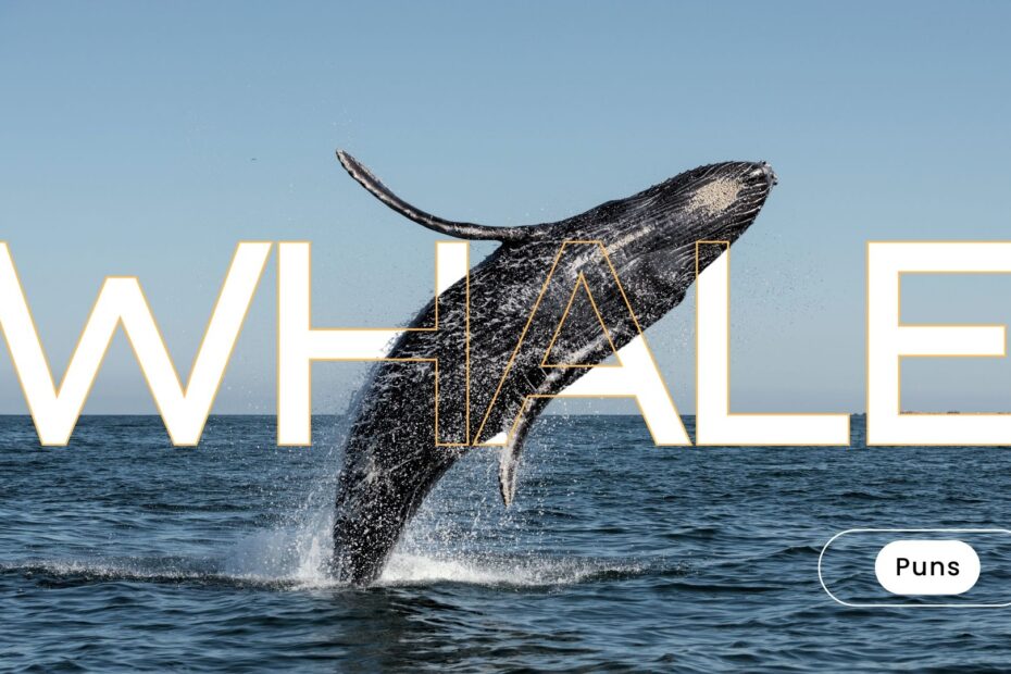 whale puns one liner